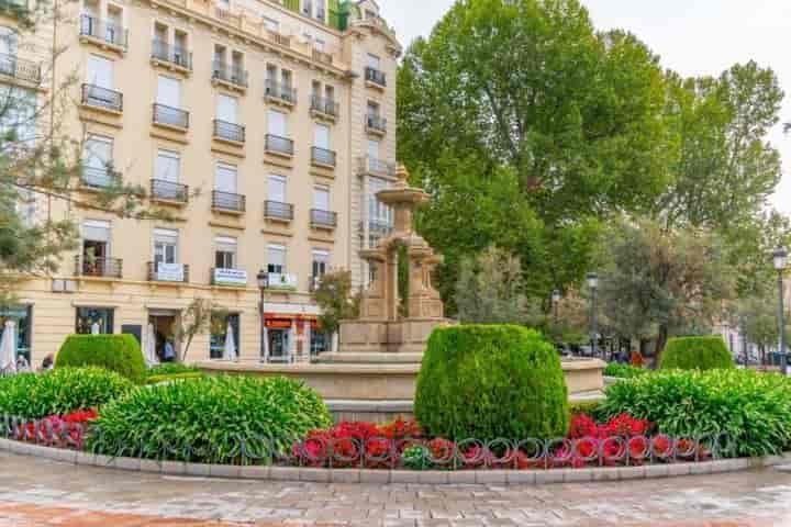 Centro de Granada: Tu Nuevo Hogar Espera