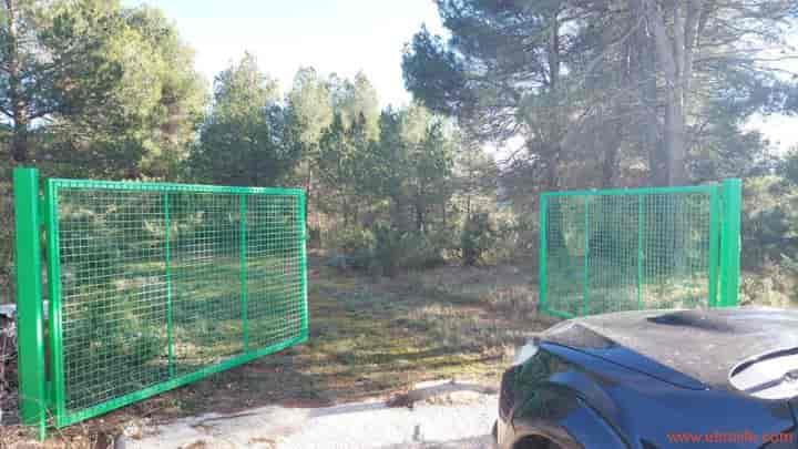 Stunning Truffle Farm in Monroyo, Matarraña Region