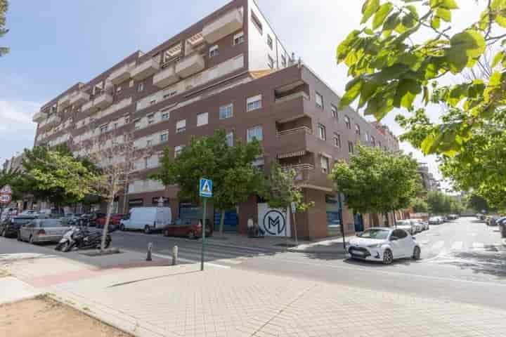 Charming Apartment in Sanders, Granada