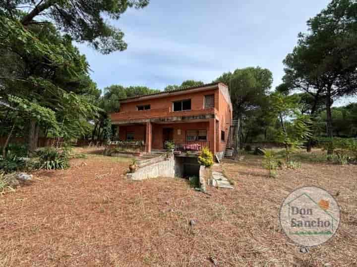 Rustic Paradise in Laguna de Duero – Your Future Home Awaits!