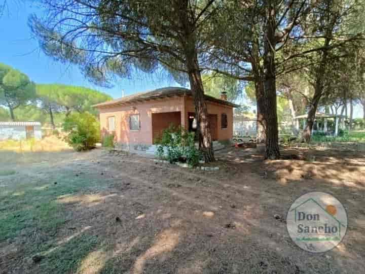 Charming Rustic Home in Santibañez de Valcorba - Perfect Getaway!