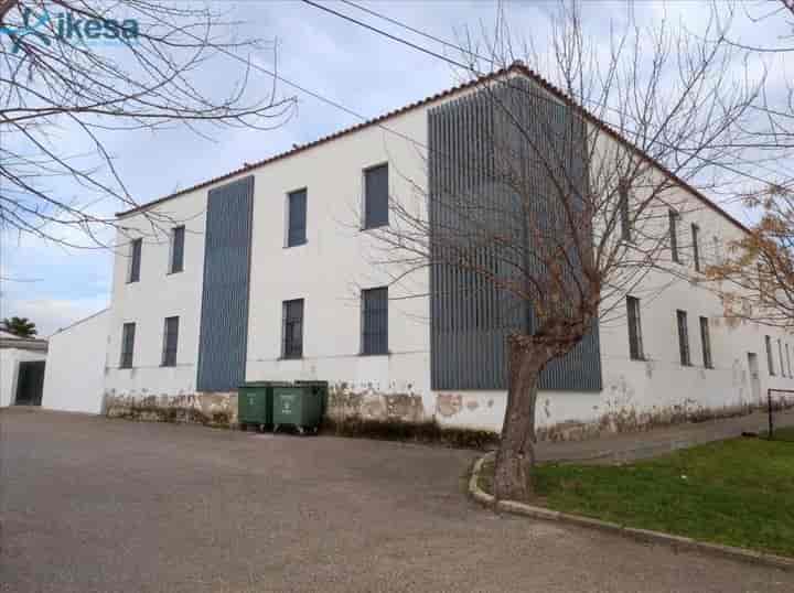 Unique Investment Opportunity in Jerez de los Caballeros, Badajoz