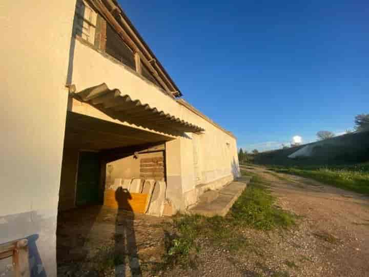 Charming 3km from Huesca - Casa con Terreno en Camino Santa Lucía