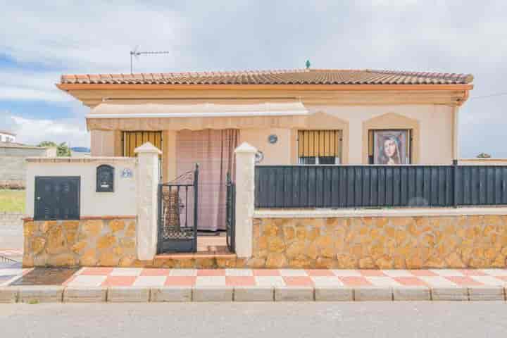 Sunny Ground Floor Home in Alomartes