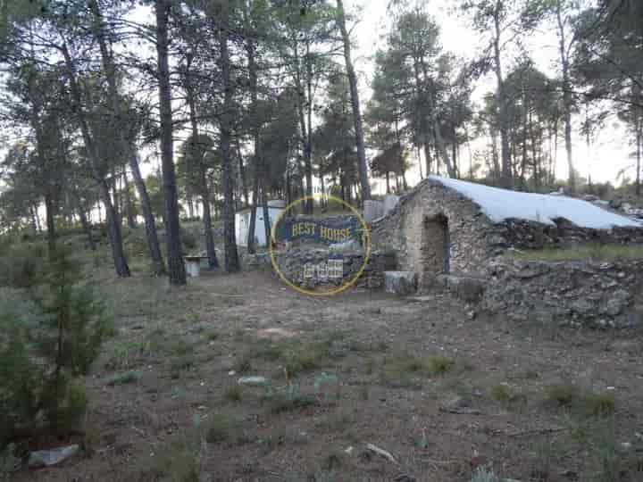 Charming Pinewood Lot with Cozy Retreat in Sierra Mariola, Bocairent (Valencia)