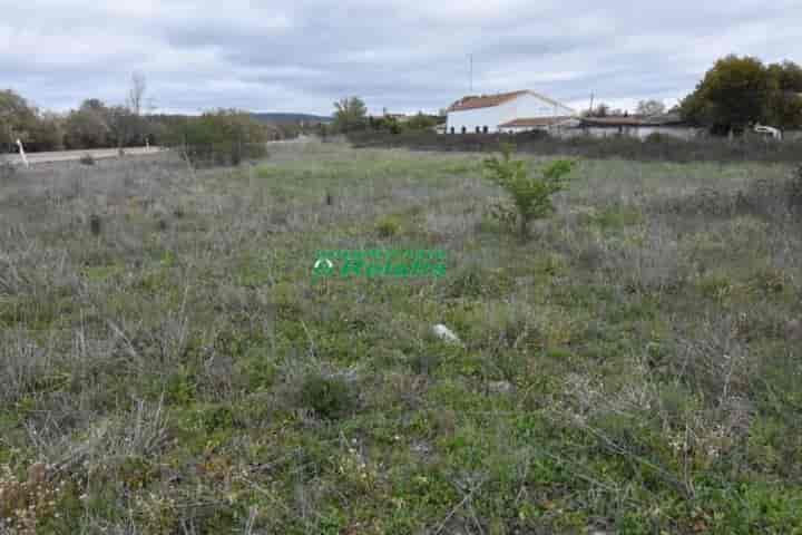 Charming Huerta Regadio Just 1 km from Ciudad Rodrigo