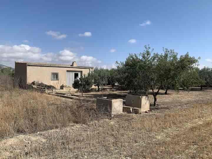 Charming Plot with Cozy House Near Caudete Town