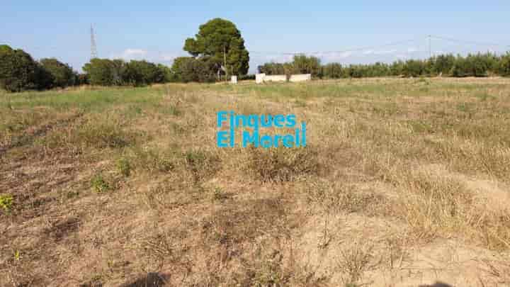 Rustic Finca in Spain - 8556 m² with Water Well & Power