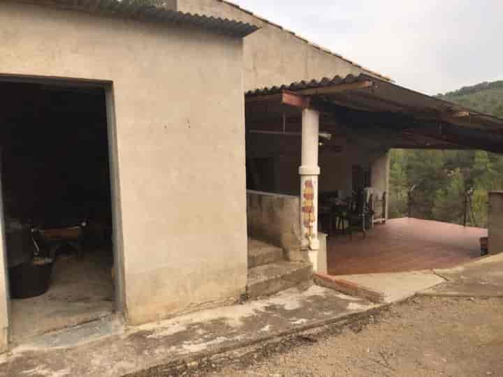 Charming Rustic Retreat Near Tortosa