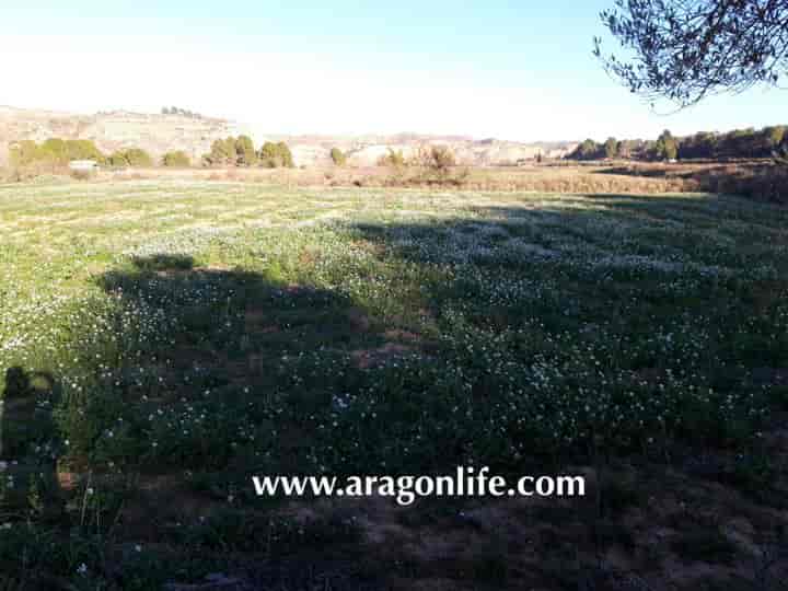 Irrigati Eco Farm con permessi di costruzione in Caspe