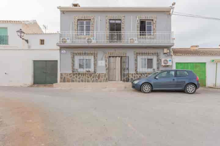 Charming Restored Village House in Tranquil Location