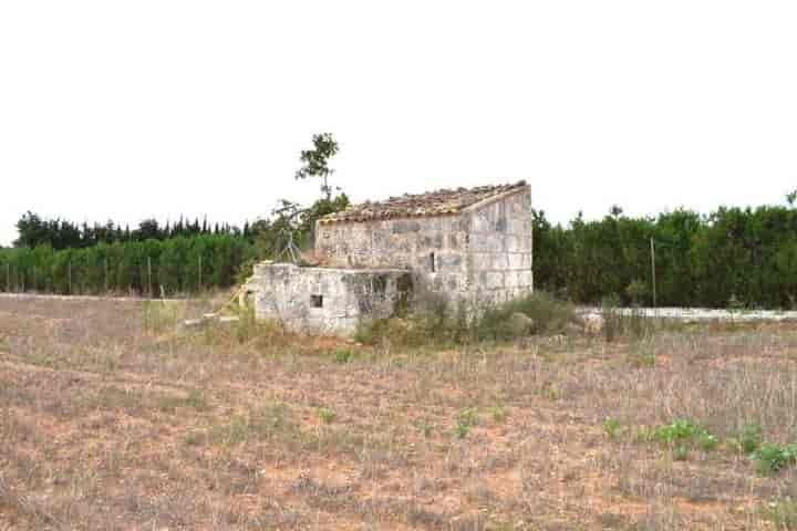 Charming Finca with Stunning Tramuntana Views in Muro