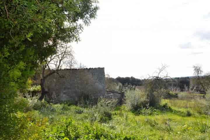 Stunning Views in Quiet Tramuntana - Your Perfect Retreat!