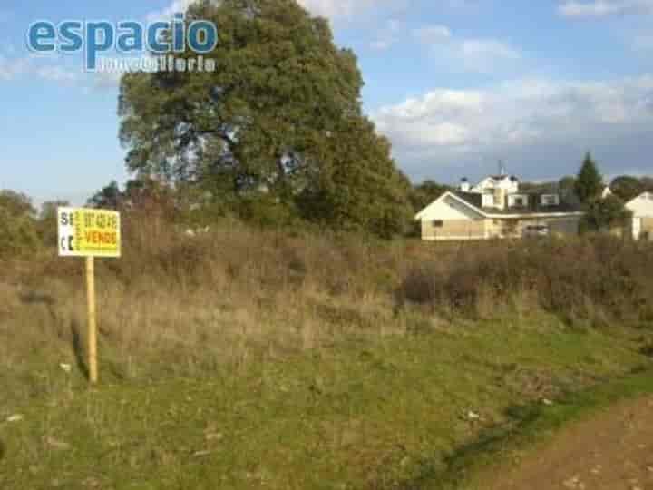 Charming Rustic Finca in Cueto Near Helipuerto - 6,800 m² for €65,000