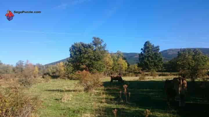 Beautiful Rustic Farm in Sotosalbos, Segovia