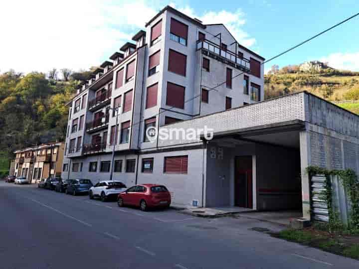 Cozy Apartment with Garage and Storage in Aller, Asturias