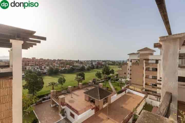 Stunning Penthouse in Playa Granada