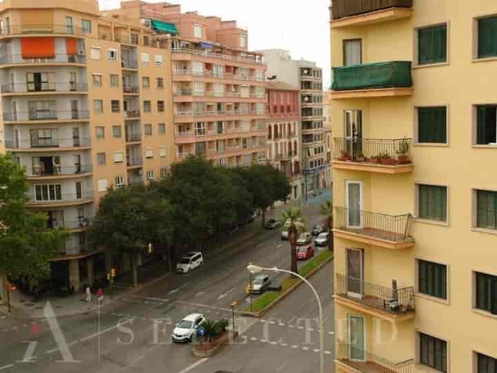 Spacious Palma de Mallorca Flat in the Heart of the City