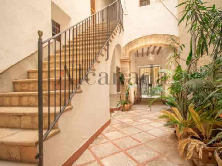 Unique Renovation Opportunity in Palma de Mallorca's Old Town