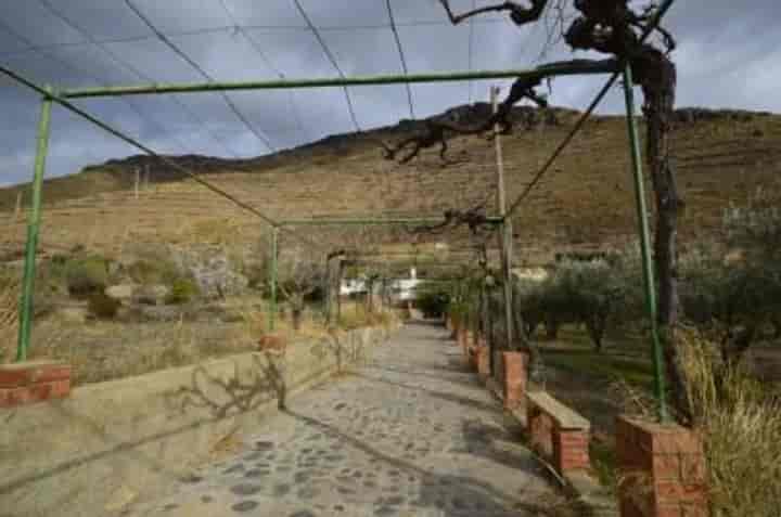 Stunning 9,500m² Finca for Sale in Gergal, Almería with Mountain Views