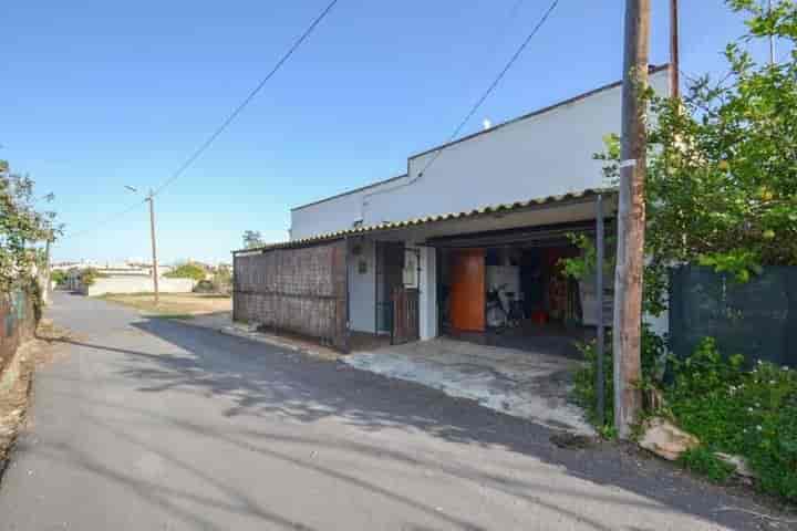 Charming House in Quiet Deltebre Neighborhood