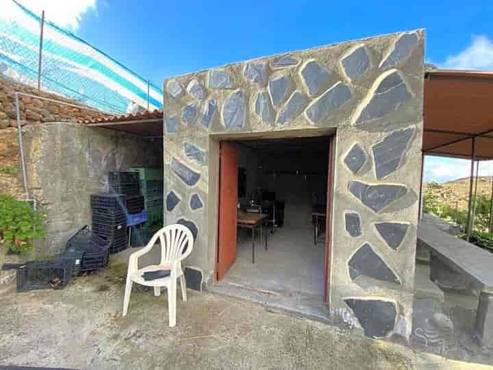 Spacious Rustic Land with Water Access in La Cruz de Tea, Granadilla de Abona