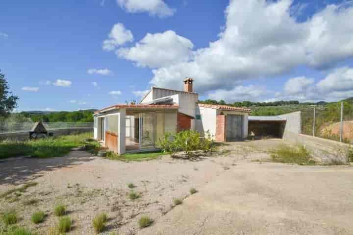 Charming Rustic Retreat in El Perelló - 11,649 m² of Nature's Bliss