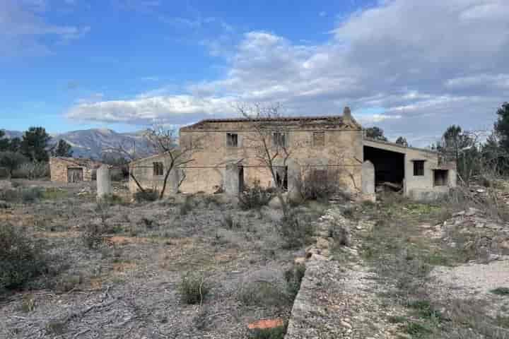 Charming Fixer-Upper in Burgà (Perelló) with Ample Land