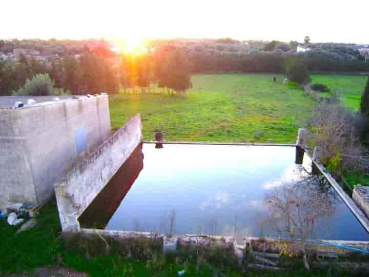 Charming Finca Oasis in Muro, Mallorca - Just 3 km from Can Picafort!