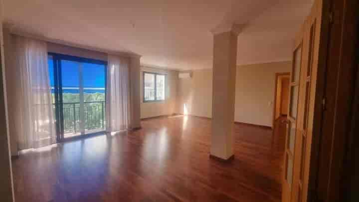 Spacious Family Apartment on Calle Quevedo, Santa Cruz de Tenerife