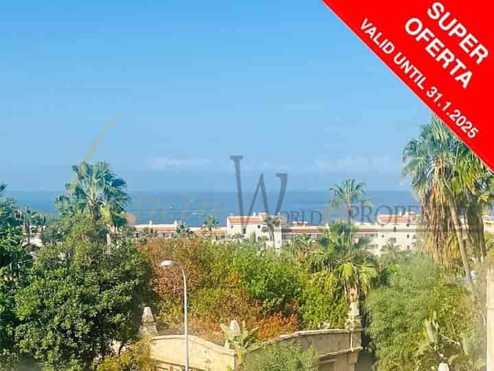 Stunning Studio with Sea Views in Malibu Park, San Eugenio Alto