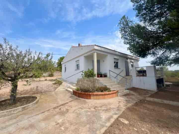 Charming Villa with Guest House Near Cheste, Valencia