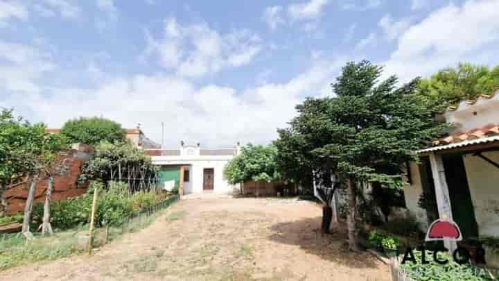 Charming Family Home with Land in Benicarló, Castellón