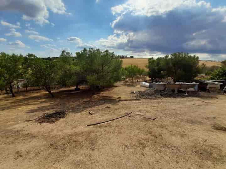 Finca Rústica en Tres Cantos, Madrid - Perfecta para Ocio y Naturaleza