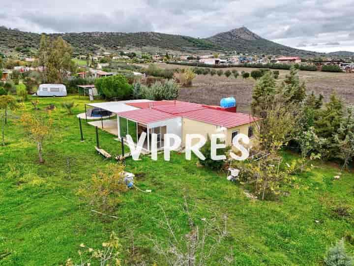 Tranquil Rustic Property in El Collado, Sierra de Fuentes