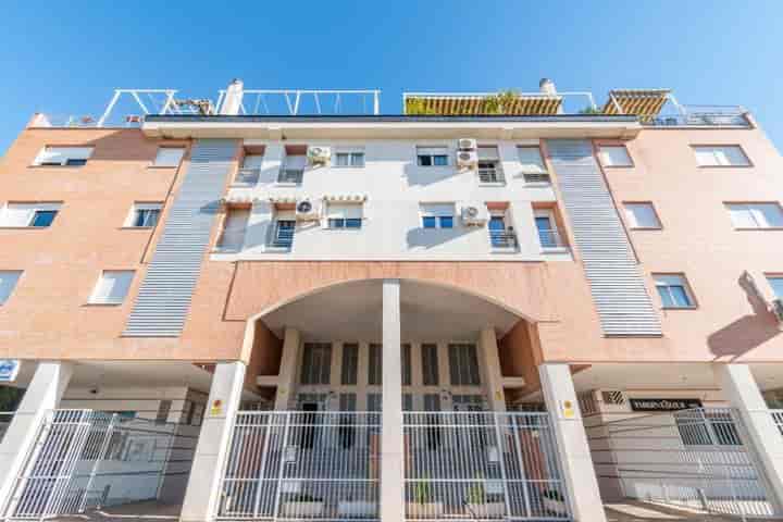 Charming 1st Floor Apartment in Granada - Parque Almunia Area