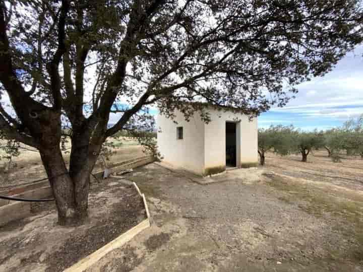 Cozy Country House near Caudete, Albacete