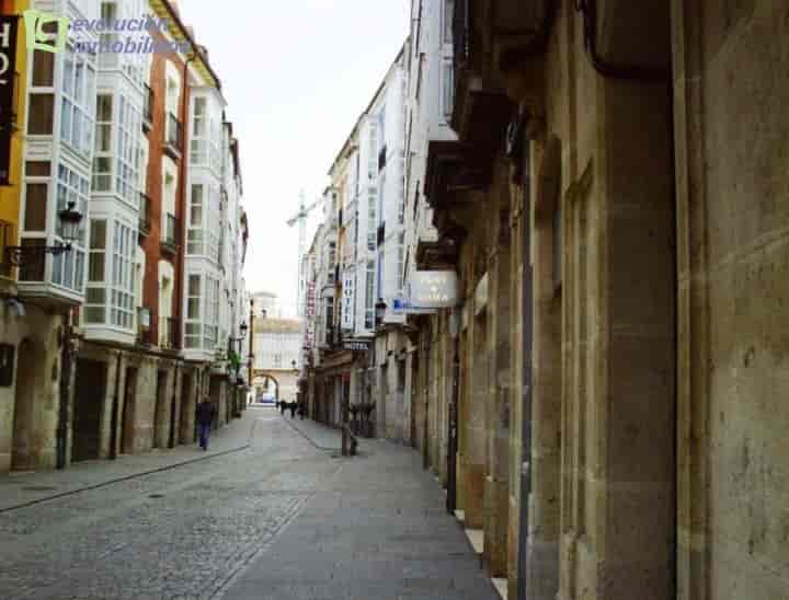 Spacious 3-Bedroom Apartment in Burgos