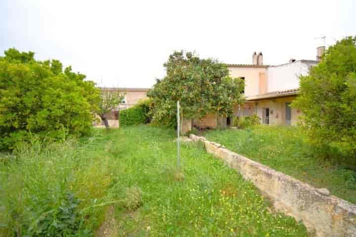 Charming Village House with Large Garden in Costitx