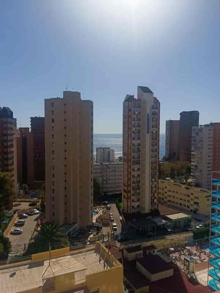 Cozy Corner Apartment for Rent in Benidorm's Rincón de Loix - Just Steps from the Beach!