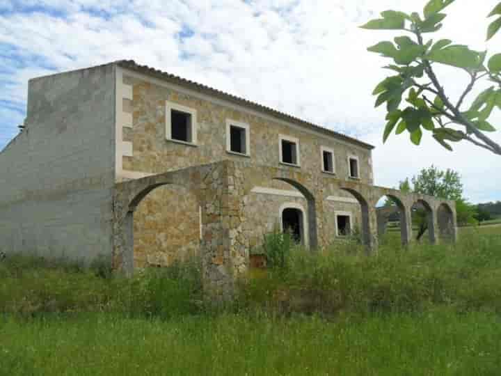 Rustic Finca for Sale in Sant Joan - 7,000 m² with Stunning Views