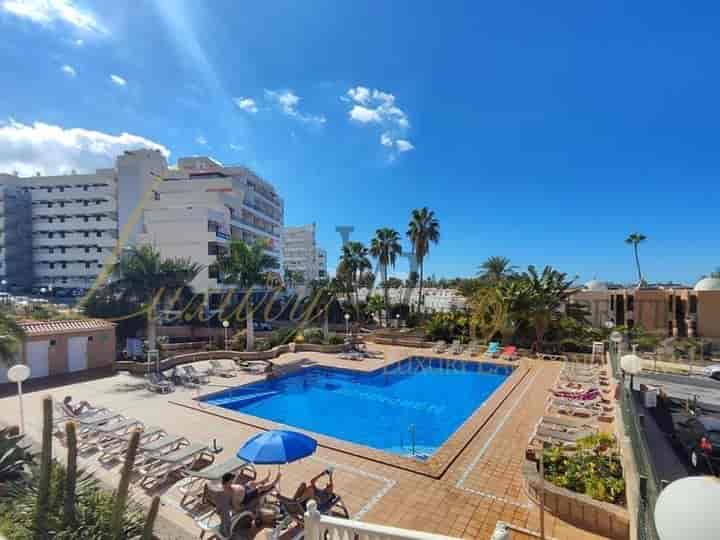 Renovated Studio in Playa de las Américas - Borinquen Complex