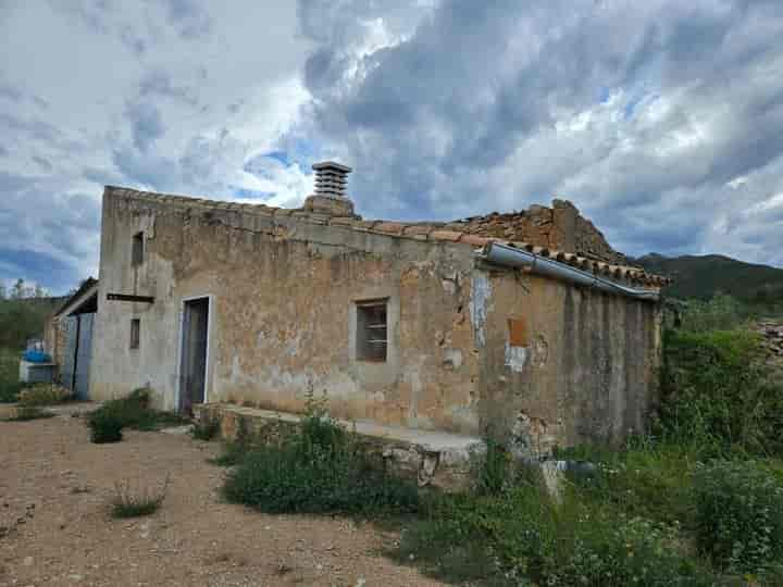 Charming Rustic Estate with Olive Trees in El Perelló