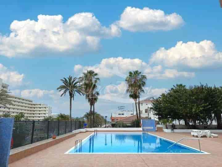 Charming 1-Bedroom Ocean View Apartment in Playa de Las Américas