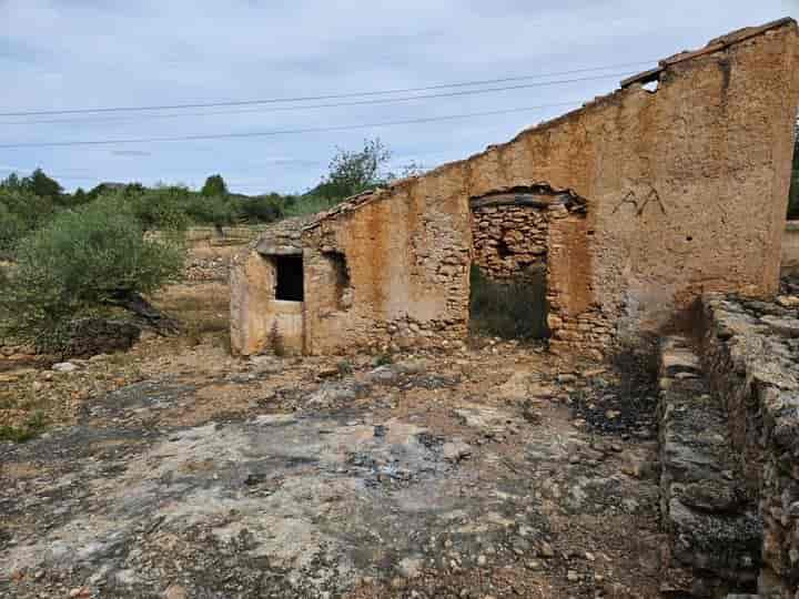 Rustic Olive & Carob Estate in El Perelló - 11,221 m² of Potential!