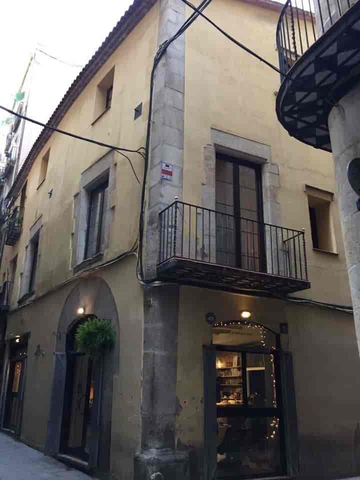 Charming Historic Apartment in the Heart of Raval, Barcelona