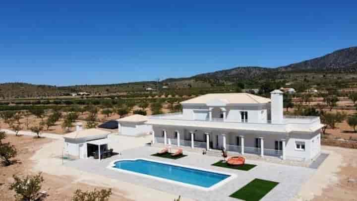 Modern & Traditional Villas in Pinoso - Your Dream Home Awaits!