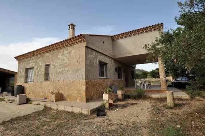 Charming 3-Bedroom Country House in Salinas, Spain with Olive Grove