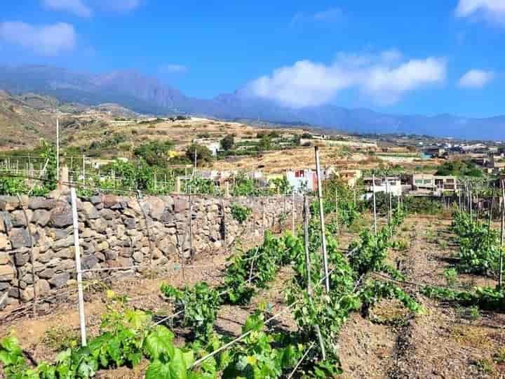 Charming Farmhouse with Stables in Güimar, Tenerife