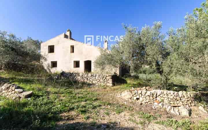 Charming Country House in El Perelló – Perfect Getaway!